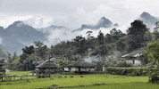 travel vietnam GIF by For 91 Days