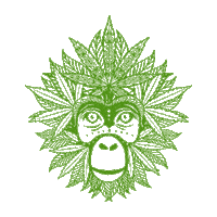 Football Love Sticker by GreenMonkeyCBD