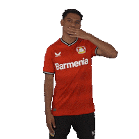 I Love You Kiss Sticker by Bayer 04 Leverkusen