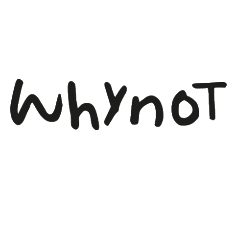 why_not_music alpaca whynot alpaka zrce Sticker