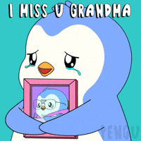 The Best Love GIF by Pudgy Penguins