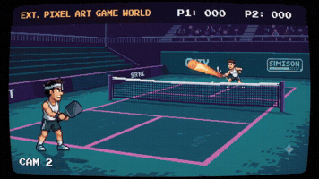 Pickle ball 8 bit videogame