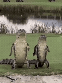 This Could Be Us Besties GIF