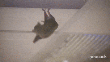 Dwight Captures the Bat