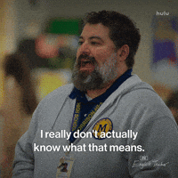 Fx Networks What GIF by English Teacher FX