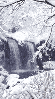 snow falling GIF