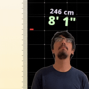 8' 1"