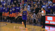 los angeles sparks celebration GIF by WNBA
