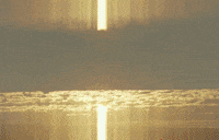 GIF by UnionDocs
