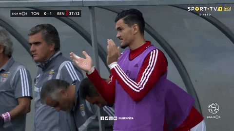 Sl Benfica Applause GIF by Sport Lisboa e Benfica