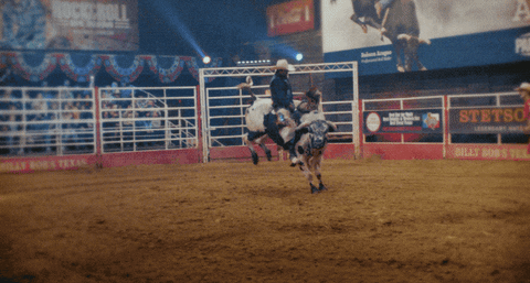 Country Music Cowboy GIF by Sub Pop Records