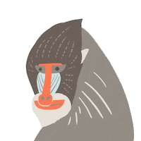 Wildlife Sticker