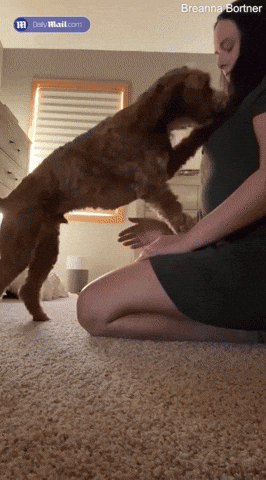 58d4b6a0e8004dd6a499524384e88c9f giphyupload GIF