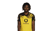 Borussia Dortmund Chukwuemeka Sticker by Bundesliga