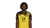 Borussia Dortmund Chukwuemeka Sticker by Bundesliga