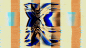 Video Art GIF by cskonopka