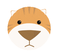 Cat Orange Sticker