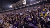 Northwestern Football Fans GIF by Northwestern Athletics