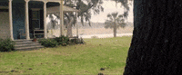 Disagree No Way GIF by Leroy Patterson