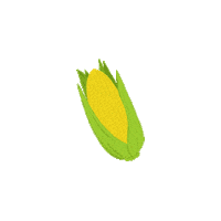 Eloagricola Sticker by Kasane Comunicação