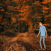 Fall Autumn GIF