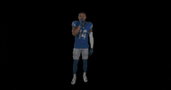 St Brown Football GIF by Detroit Lions