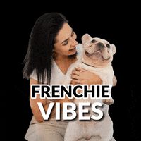 monikaamazur bbm bodybymonika body by monika monika mazur GIF