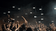 joanne GIF by Lady Gaga