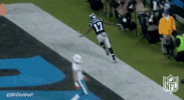 carolina panthers football GIF by NFL