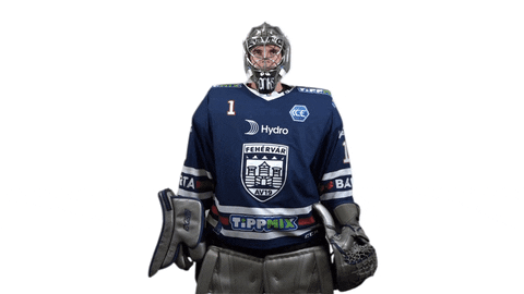 Hockey Hoki GIF by Fehervar AV19