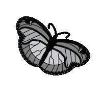 Fly Butterfly Sticker