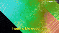 I Want A Big Aquarium