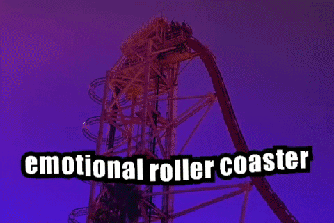 Inside Out Rollercoaster GIF by Nikki Elledge Brown