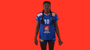 Ffhandball GIF by Fédération Française de Handball