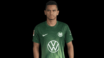 Like A Boss Deal With It GIF by VfL Wolfsburg