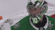ice hockey sport GIF by NHL