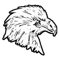 Red Dead Redemption Eagle Sticker by Rockstar Games