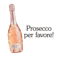 Italian Wine Cheers Sticker by Voga Italia