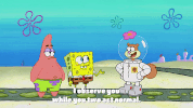 season 9 the fish bowl GIF by SpongeBob SquarePants