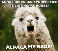ARPremax4000 realestate justlisted alpaca newlisting GIF