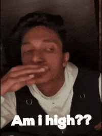 Am I High GIF