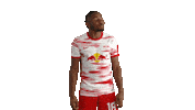 No Way Football Sticker by RB Leipzig