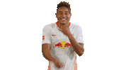 Happy Football Sticker by RB Leipzig