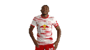 Lets Go Football Sticker by RB Leipzig