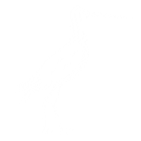 Illustration Bird Sticker by Friesblond