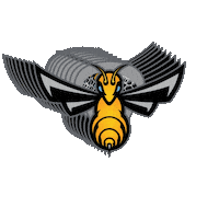 Oakville Sticker by Ontario Junior Lacrosse League