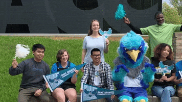 Excited Go Team GIF by Anne Arundel Community College