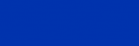 GIF by Georgia State University