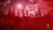 life below zero GIF by National Geographic Channel