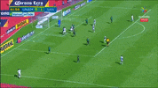 santos pumas GIF by nss sports